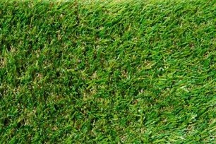 Real and Artificial Turf